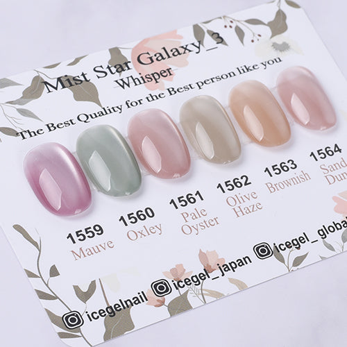 ICEGEL Clear Cat Eye Gel Polish Set | 6 Colors – NashlyNails
