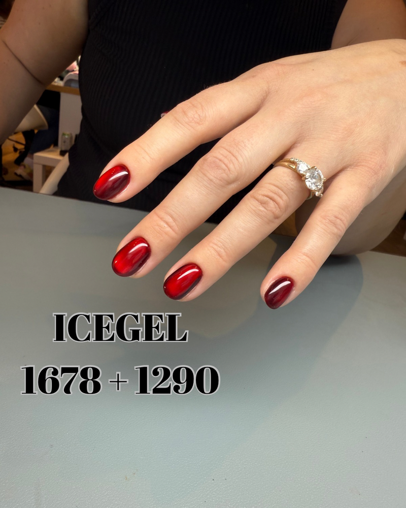Icegel 1678  and 1290 russian manicure