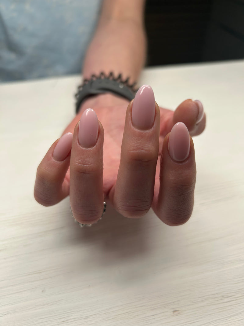 Saga pastel builder 4 