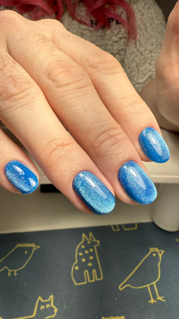 ICEGEL Wind Star Galaxy Cat Eye Gel Polish (1714-1717) – NashlyNails