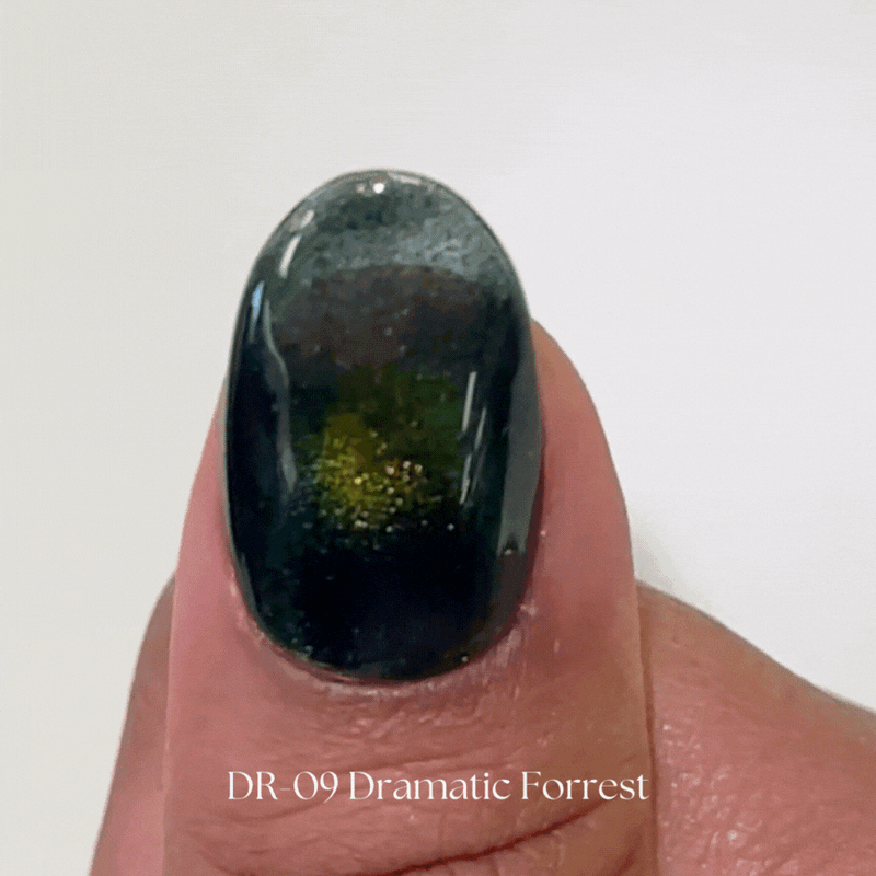 Kokoist Dramatic Magnet Gel Dramatic Forest DR-09 – NashlyNails