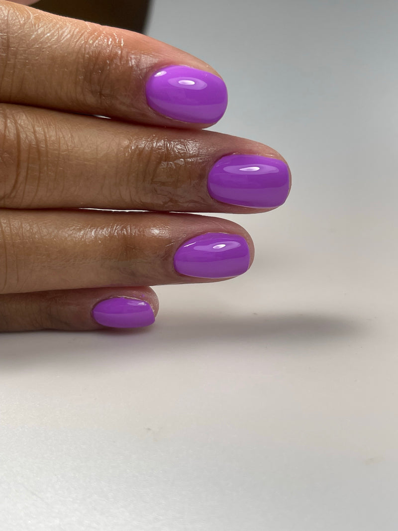 PNB Fun purple gel nail polish 115